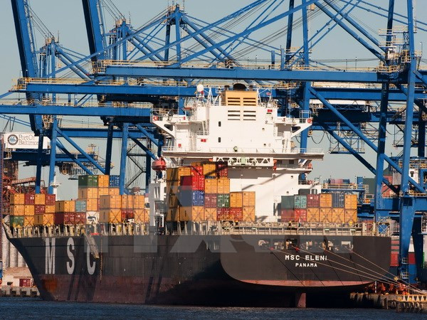 Empresa vietnamita inicia su producción en el Año Nuevo Lunar ảnh 1 Empresa vietnamita inicia su producción en el Año Nuevo Lunar ảnh 1