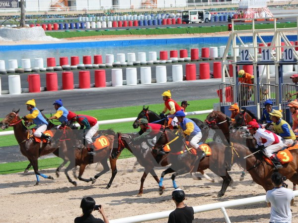 Gobierno vietnamita avala apuestas en carreras de perros y caballos ảnh 1