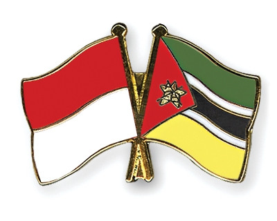 Indonesia y Mozambique fomentan cooperación económica ảnh 1 Indonesia y Mozambique fomentan cooperación económica ảnh 1