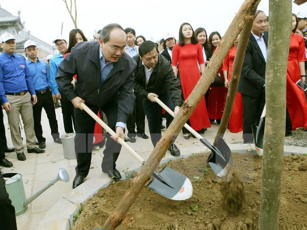 Promueven en Vietnam el movimiento de protección forestal ảnh 1 Promueven en Vietnam el movimiento de protección forestal ảnh 1