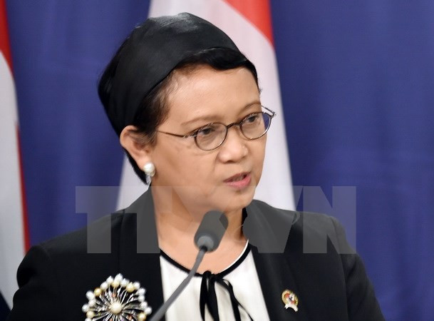 Indonesia fortalece relaciones con Singapur y Sudáfrica ảnh 1 Indonesia fortalece relaciones con Singapur y Sudáfrica ảnh 1