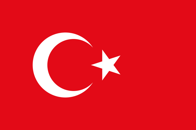 Vietnam felicita a Turquía por el 99 aniversario del Día de la República ảnh 1 Vietnam felicita a Turquía por el 99 aniversario del Día de la República ảnh 1