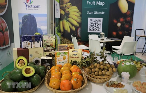 Vietnam apunta a más de cinco mil millones de USD por exportación de frutas para 2025 ảnh 1 Vietnam apunta a más de cinco mil millones de USD por exportación de frutas para 2025 ảnh 1
