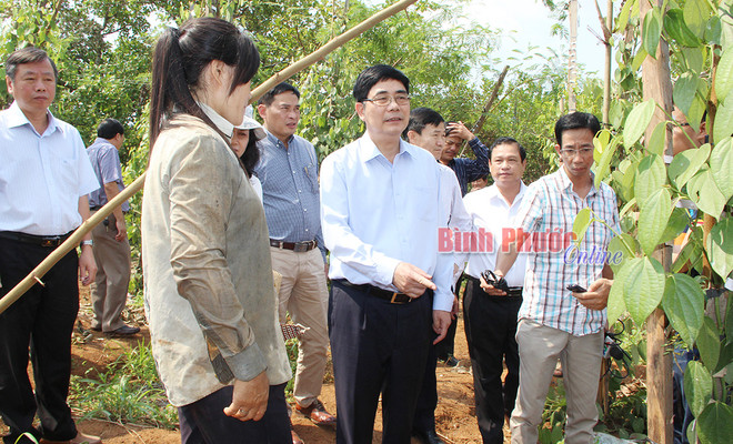 Exigen aprovechar con eficiencia fuentes hídricas ante sequía en Binh Phuoc ảnh 1 Exigen aprovechar con eficiencia fuentes hídricas ante sequía en Binh Phuoc ảnh 1
