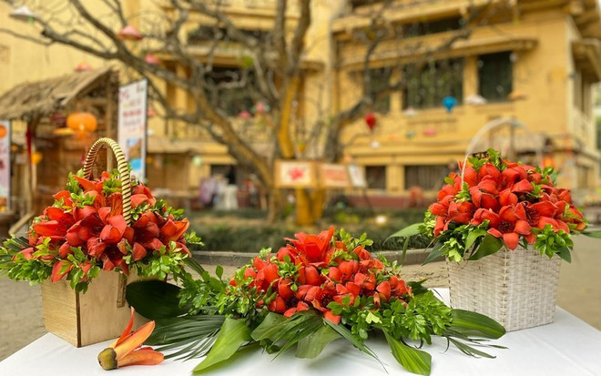 Invitan a explorar museo vietnamita en temporada de algodoneros rojos ảnh 1