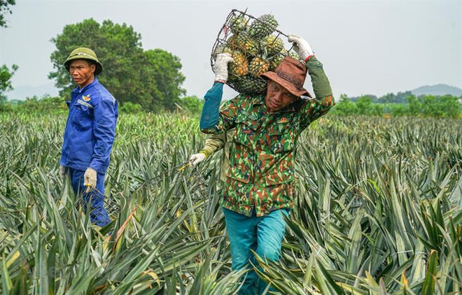 Valor total de exportación e importación de Laos alcanza 962 millones de dólares en febrero ảnh 1
