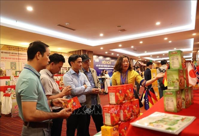 Vietnam promueve cooperación y comercio internacional de café ảnh 2 Vietnam promueve cooperación y comercio internacional de café ảnh 2