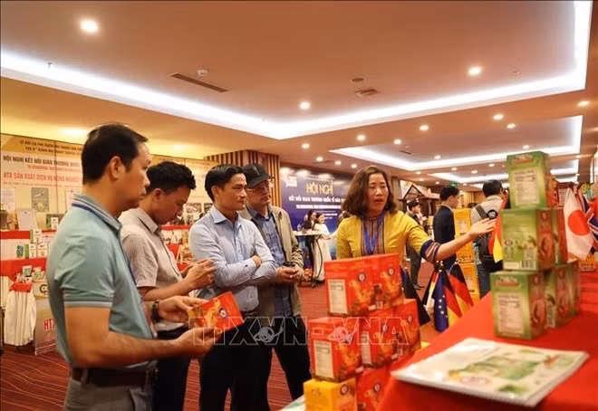 Vietnam promueve cooperación y comercio internacional de café ảnh 2