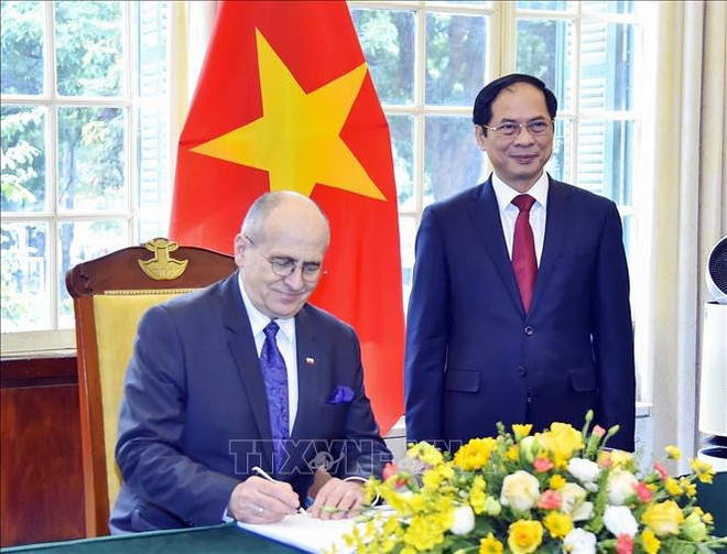 Vietnam otorga gran importancia al fomento de nexos con Polonia, destaca canciller ảnh 1 Vietnam otorga gran importancia al fomento de nexos con Polonia, destaca canciller ảnh 1