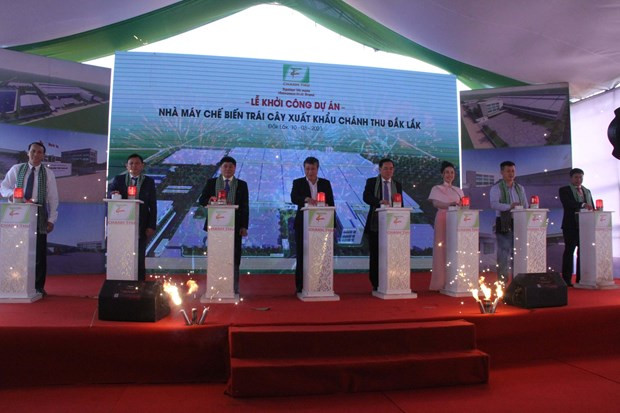 Construyen fábrica de procesamiento de frutas en provincia vietnamita de Dak Lak ảnh 1 Construyen fábrica de procesamiento de frutas en provincia vietnamita de Dak Lak ảnh 1