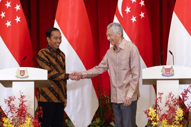 Indonesia espera inversiones singapurenses en construcción de nueva capital ảnh 1 Indonesia espera inversiones singapurenses en construcción de nueva capital ảnh 1