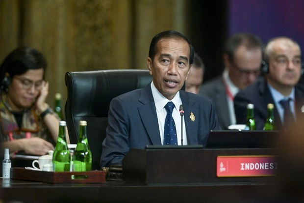 Indonesia impulsa inversión en conversión de carbón a éter dimetílico ảnh 1 Indonesia impulsa inversión en conversión de carbón a éter dimetílico ảnh 1