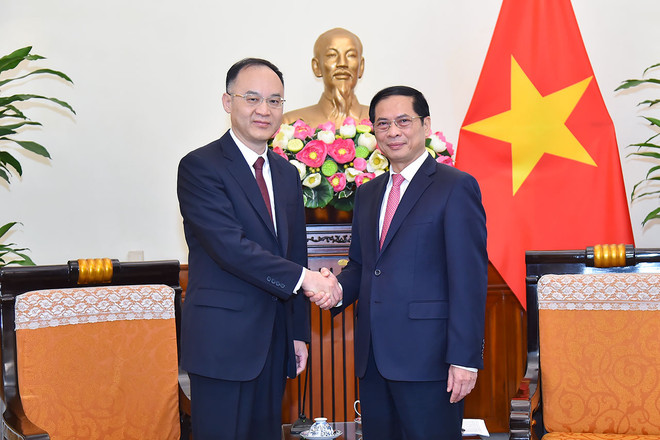Dirigentes de la Cancillería reciben al ministro asistente de Relaciones Exteriores de China ảnh 1 Dirigentes de la Cancillería reciben al ministro asistente de Relaciones Exteriores de China ảnh 1