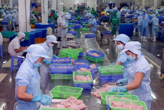 Vietnam traza meta de lograr nueve millones de dólares por exportación acuícola ảnh 1