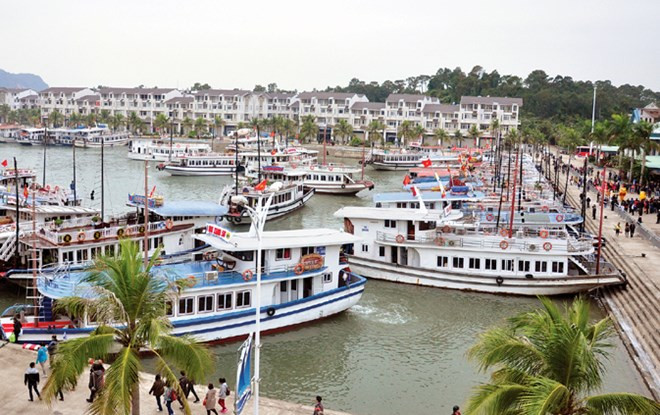 Provincia vietnamita de Quang Ninh prevé crecimiento económico superior a 10 por ciento ảnh 1 Provincia vietnamita de Quang Ninh prevé crecimiento económico superior a 10 por ciento ảnh 1