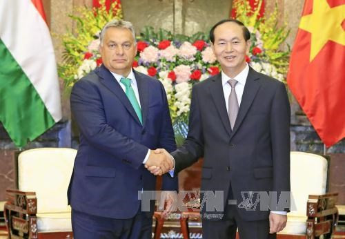 Presidente de Vietnam resalta nexos con Hungría ảnh 1 Presidente de Vietnam resalta nexos con Hungría ảnh 1