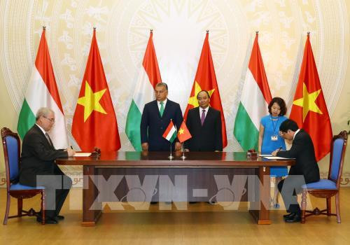 Vietnam y Hungría buscan oportunidades de cooperación en agricultura ảnh 1 Vietnam y Hungría buscan oportunidades de cooperación en agricultura ảnh 1