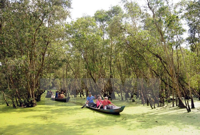 Vietnam ratifica política preferencial para agencias turísticas extranjeras ảnh 1 Vietnam ratifica política preferencial para agencias turísticas extranjeras ảnh 1