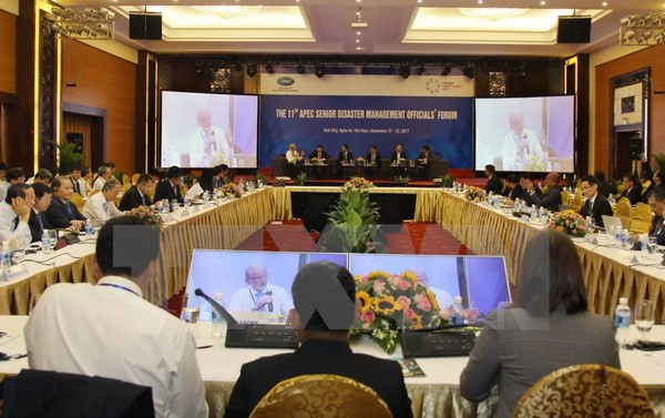 Economías de APEC enfatizan papel de tecnología en respuesta a desastres naturales ảnh 1