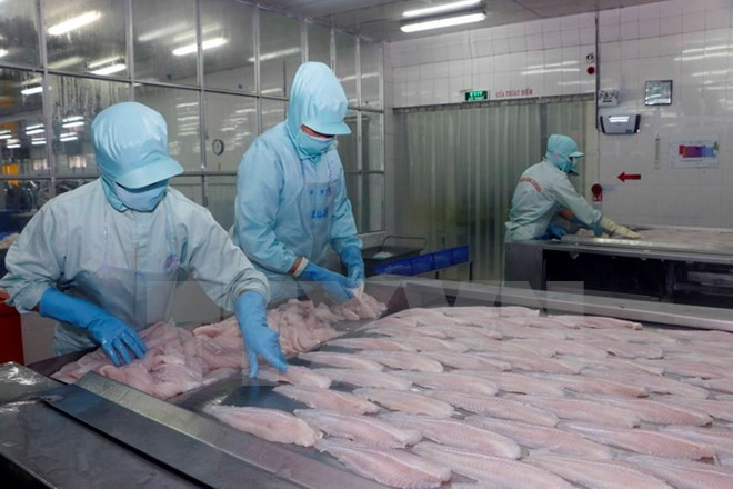 Exportaciones de pescado Tra de Vietnam se mantienen estables ảnh 1