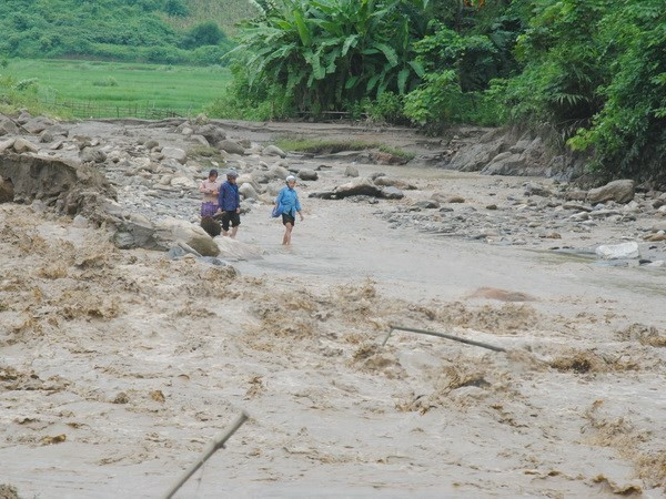Proyecto de prevención de desastres naturales beneficia a pobladores en Centro de Vietnam ảnh 1
