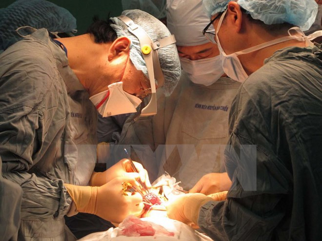 Médico japonés se convierte en cónsul honorario de Vietnam ảnh 1 Médico japonés se convierte en cónsul honorario de Vietnam ảnh 1