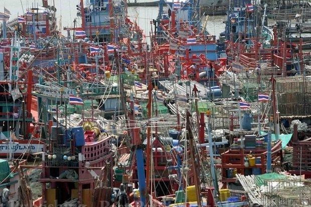 Tailandia: pescadores protestan contra las regulaciones pesqueras de la Unión Europea ảnh 1 Tailandia: pescadores protestan contra las regulaciones pesqueras de la Unión Europea ảnh 1