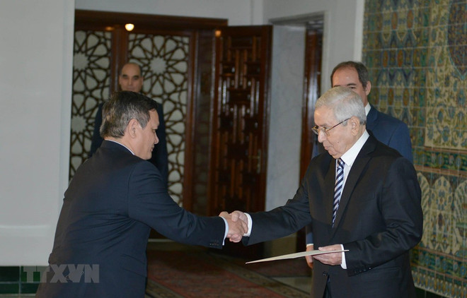 Favorece presidente de Argelia ampliación de las relaciones entre su país y Vietnam ảnh 1 Favorece presidente de Argelia ampliación de las relaciones entre su país y Vietnam ảnh 1