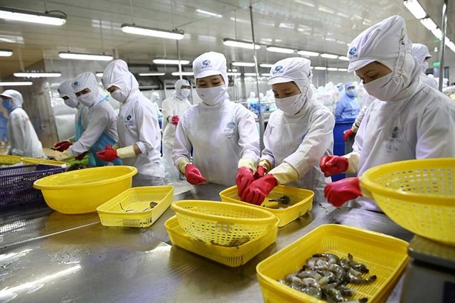 Invierte compañía japonesa más de 150 millones de dólares en empresa vietnamita de productos acuícolas ảnh 1 Invierte compañía japonesa más de 150 millones de dólares en empresa vietnamita de productos acuícolas ảnh 1
