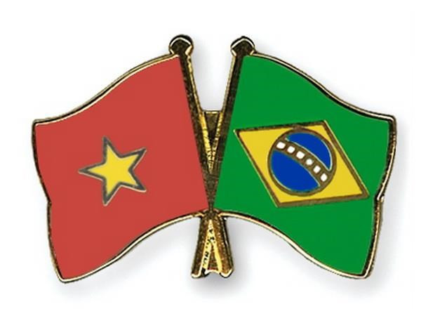 Buscan ampliar nexos comerciales entre Vietnam y Brasil ảnh 1 Buscan ampliar nexos comerciales entre Vietnam y Brasil ảnh 1
