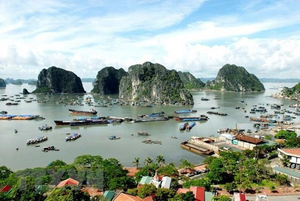 Abren en Vietnam servicio para contemplar la bahía de Ha Long desde helicópteros ảnh 1 Abren en Vietnam servicio para contemplar la bahía de Ha Long desde helicópteros ảnh 1