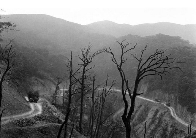 Resaltan significado histórico de la legendaria ruta Ho Chi Minh ảnh 1