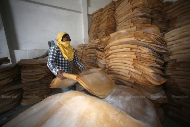 Reducirá Tailandia sus exportaciones de caucho ảnh 1 Reducirá Tailandia sus exportaciones de caucho ảnh 1