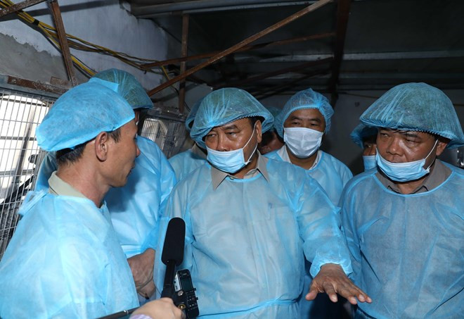 Pide premier a todo el sistema político que se una al combate contra epidemia porcina ảnh 1 Pide premier a todo el sistema político que se una al combate contra epidemia porcina ảnh 1