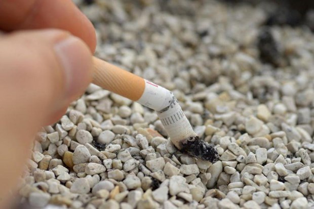 Hanoi se suma al Día Mundial sin Tabaco 2019 ảnh 1