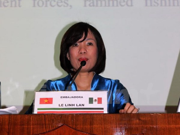 Efectúan en México charla sobre seguridad regional y disputas en Mar del Este ảnh 1 Efectúan en México charla sobre seguridad regional y disputas en Mar del Este ảnh 1