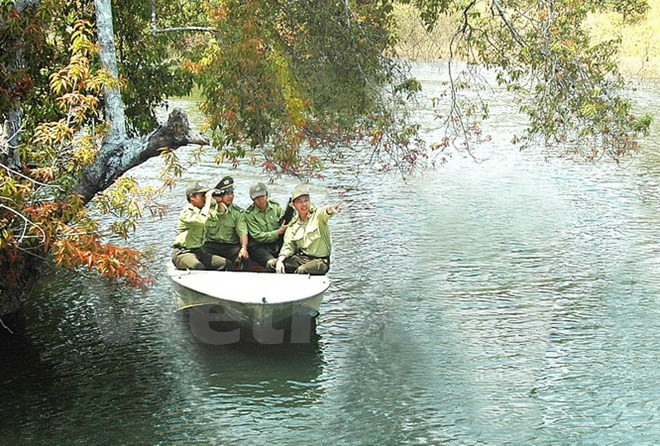 Cooperan Alemania y Vietnam en preservación de ecosistema forestal ảnh 1