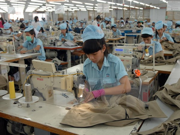 Textil vietnamita busca elevar uso de materias primas nacionales ảnh 1 Textil vietnamita busca elevar uso de materias primas nacionales ảnh 1