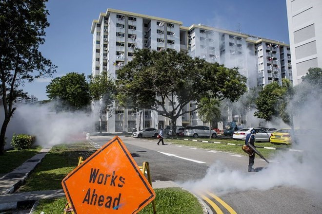 Detectan nuevos casos del virus de Zika en Singapur ảnh 1 Detectan nuevos casos del virus de Zika en Singapur ảnh 1
