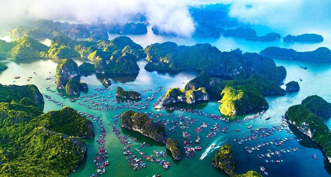 Vietnam refuerza la gestión de áreas marinas protegidas ảnh 1 Vietnam refuerza la gestión de áreas marinas protegidas ảnh 1