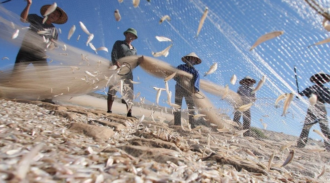 Proponen soluciones científicas para desarrollo sostenible de economía marina de Vietnam ảnh 2 Proponen soluciones científicas para desarrollo sostenible de economía marina de Vietnam ảnh 2