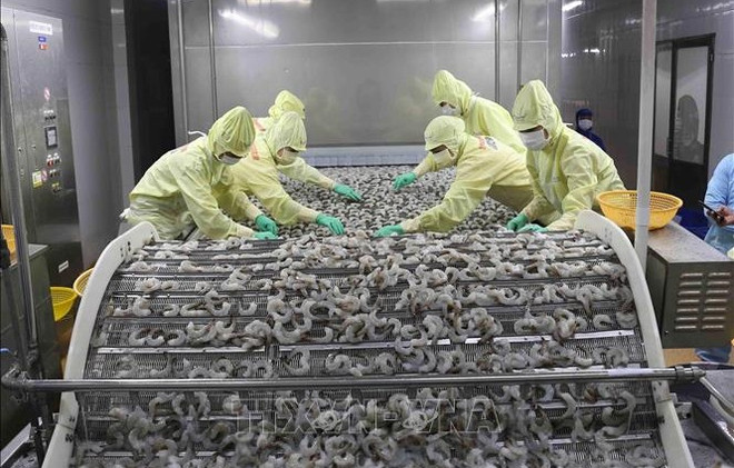Vietnam por promover exportaciones camaroneras en medio de dificultades ảnh 1 Vietnam por promover exportaciones camaroneras en medio de dificultades ảnh 1