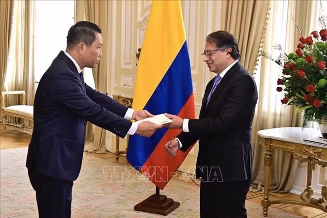 Proponen establecer Embajada de Vietnam en Colombia ảnh 1