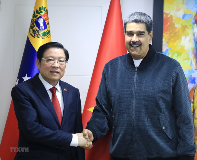 Delegación partidista de Vietnam realiza visita de trabajo en Venezuela ảnh 1