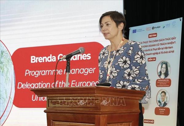 Promueven prácticas comerciales responsables en Vietnam ảnh 1 Promueven prácticas comerciales responsables en Vietnam ảnh 1