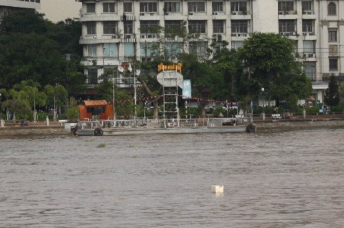 Proyectan construir en Ciudad Ho Chi Minh sistema de hidrobús ảnh 1