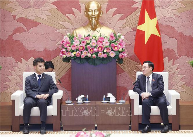 Vietnam concede importancia al impulso de nexos con Japón ảnh 1 Vietnam concede importancia al impulso de nexos con Japón ảnh 1