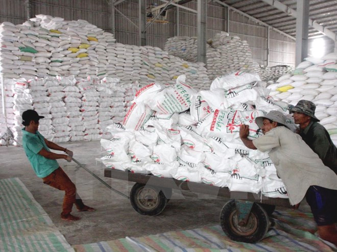 Vietnam destaca importancia de mercado filipino para exportación arrocera ảnh 1