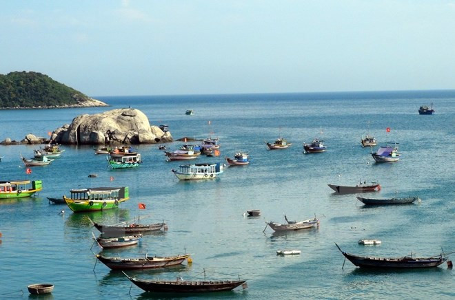 Trabaja Vietnam para proteger intereses legítimos de pescadores ảnh 1 Trabaja Vietnam para proteger intereses legítimos de pescadores ảnh 1