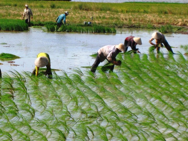 Séptimo Congreso Asiático de Agricultores ảnh 1 Séptimo Congreso Asiático de Agricultores ảnh 1